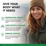 Mullein Lung Detox - Mullein Leaf Extract - Marshmallow Root | Echinacea | Oregano | Quercetin | NAC - 15-in-1 Lung Support & Cleanse for Smokers Supplement - Made in USA - As Drops - 60 Capsules - Image 4