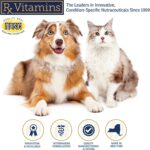 Rx Vitamins Liquid Immuno Dog & Cat Immune Support - Reishi Mushroom Supplement for Dogs & Cats Plus L-Lysine - Ideal Eye Supplements, Immunity Booster Supplements for Pets - 4 oz - Image 6