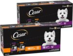 Cesar Filets in Gravy Wet Dog Food Filet Mignon Flavor and Rotisserie Chicken Flavor Variety Pack, Wet Food for Dogs, 1.76 oz. Mini-Pouches, 20 Count (Pack of 2) - Image 2