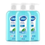 Dial Body Wash, Refresh & Renew Spring Water, 23 Fl Oz (Pack of 3), Hydraclean Complex & Vitamin E, Gentle, Leaves Skin Feeling Nourished, Dermatologist-Tested, No Parabens & Sulfates - Image 2